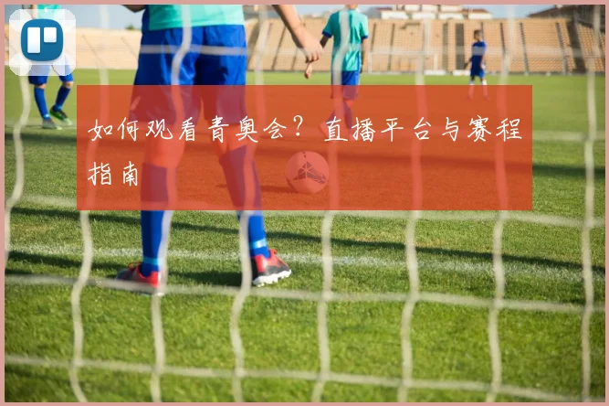 如何观看青奥会？直播平台与赛程指南