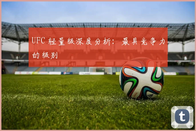 UFC 轻量级深度分析：最具竞争力的级别